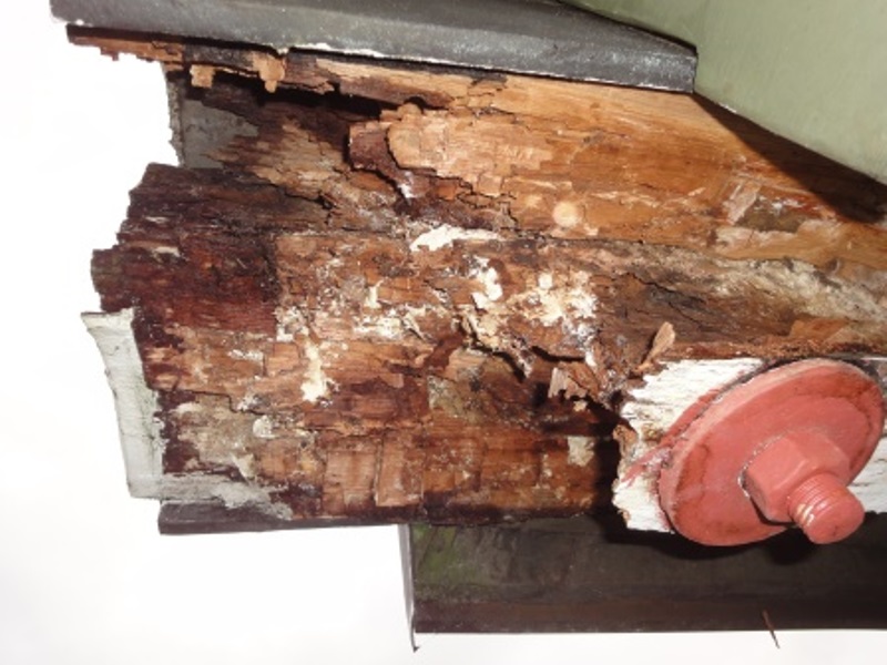 Holz am Mühlenflügel zerstört