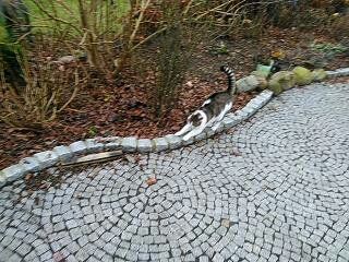 Neuanlage einer Terrasse aus Pflastersteinen